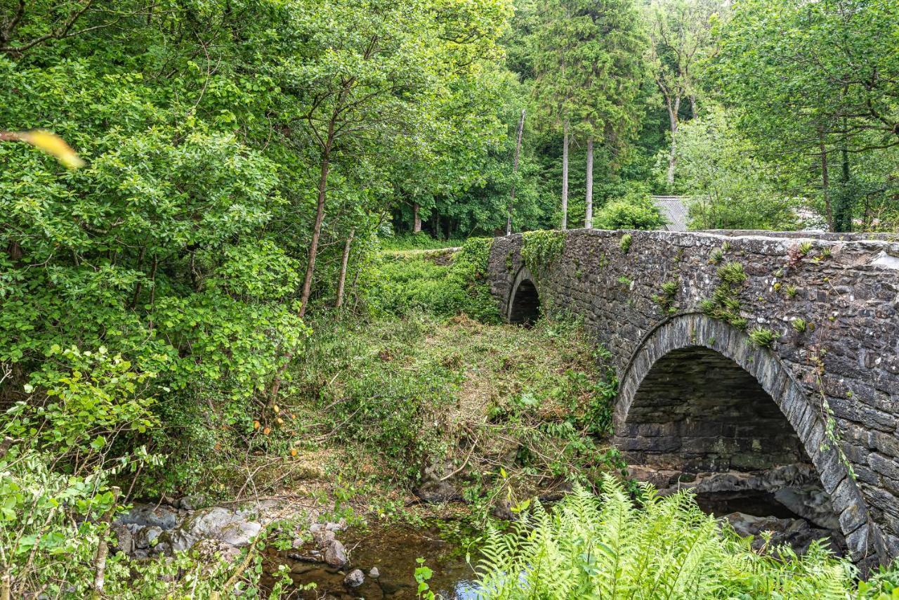 Waedog Bach Villa Llanfor Bagian luar foto